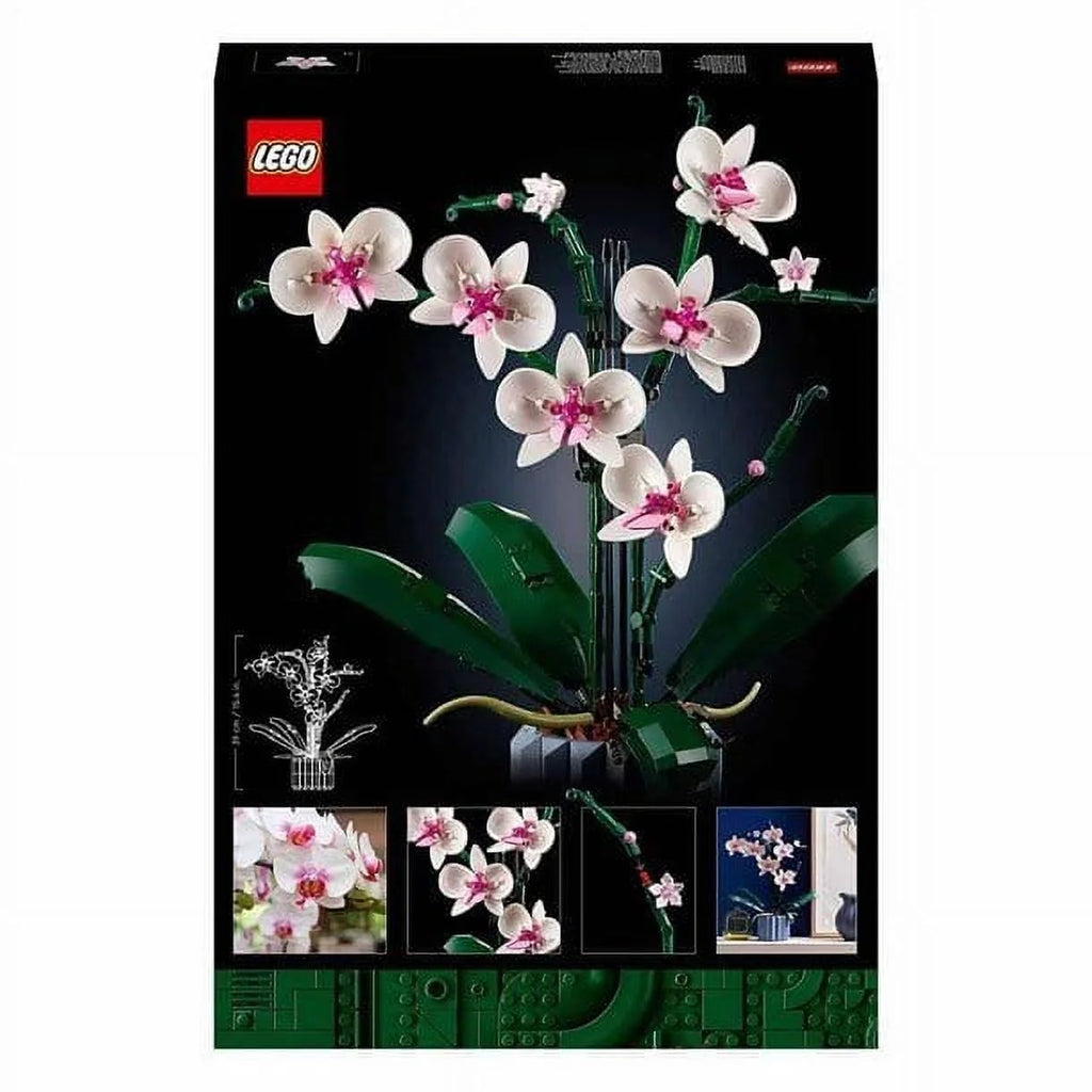 Orchid R134