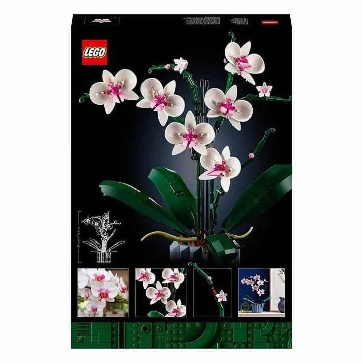 Orchid R134