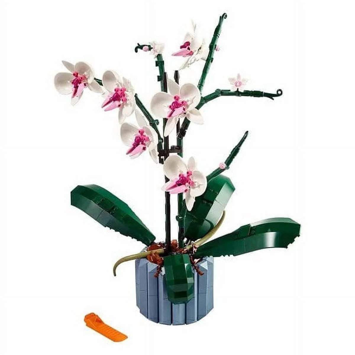 Orchid R134