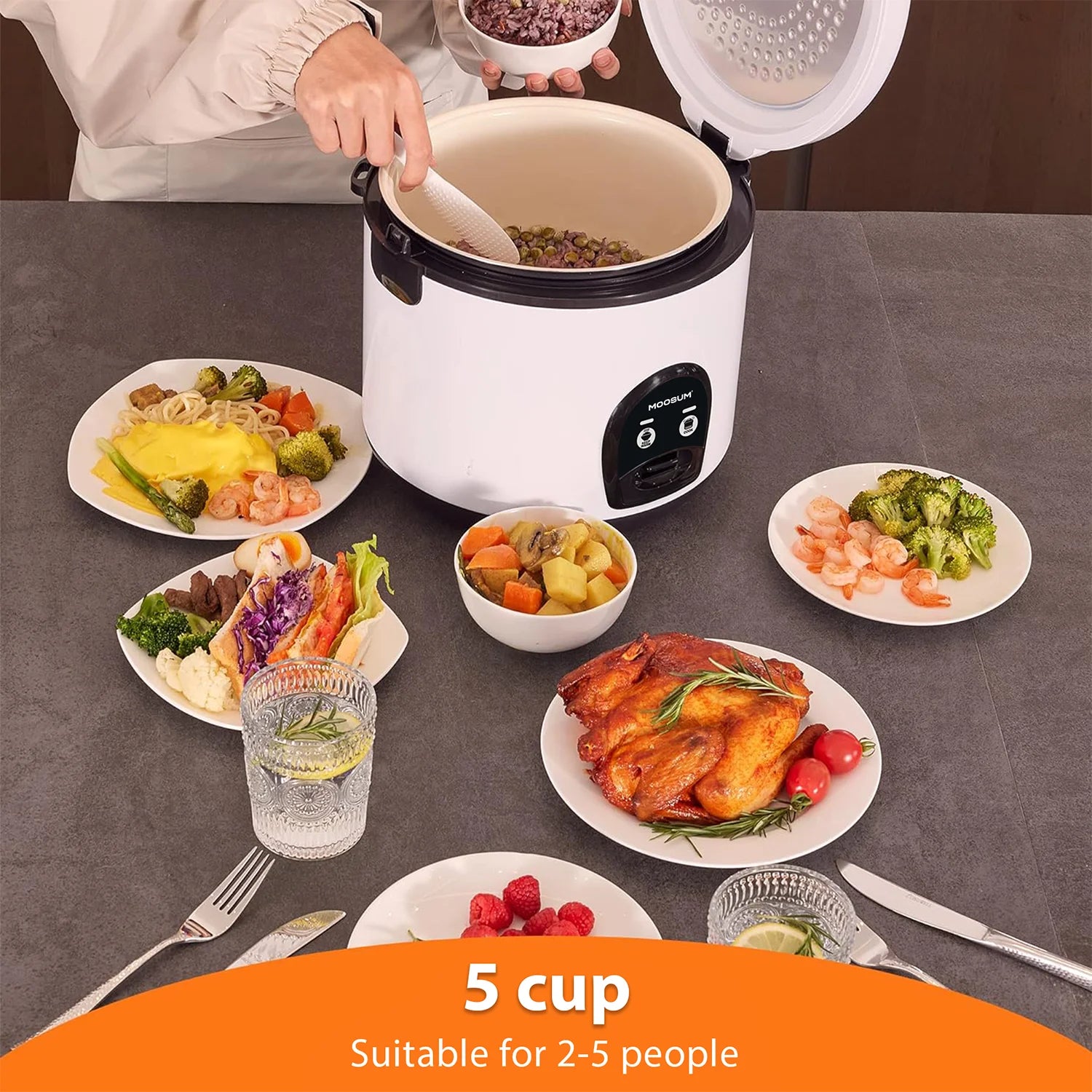 White Electric Rice Cooker with Steamer V63853