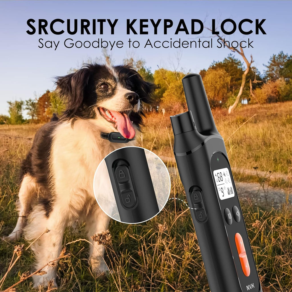 Rechargeable Dog Training Collar with Remote, 3 Modes, Waterproof, Pack of 2 T188