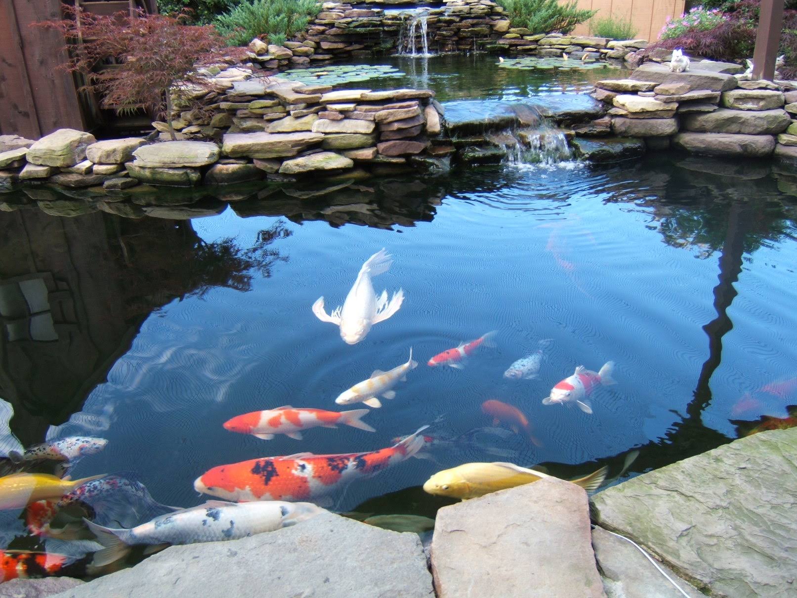 10' x 40' Vinyl Tarp 20 oz 22 Mil Waterproof PVC Pond Liner C522638