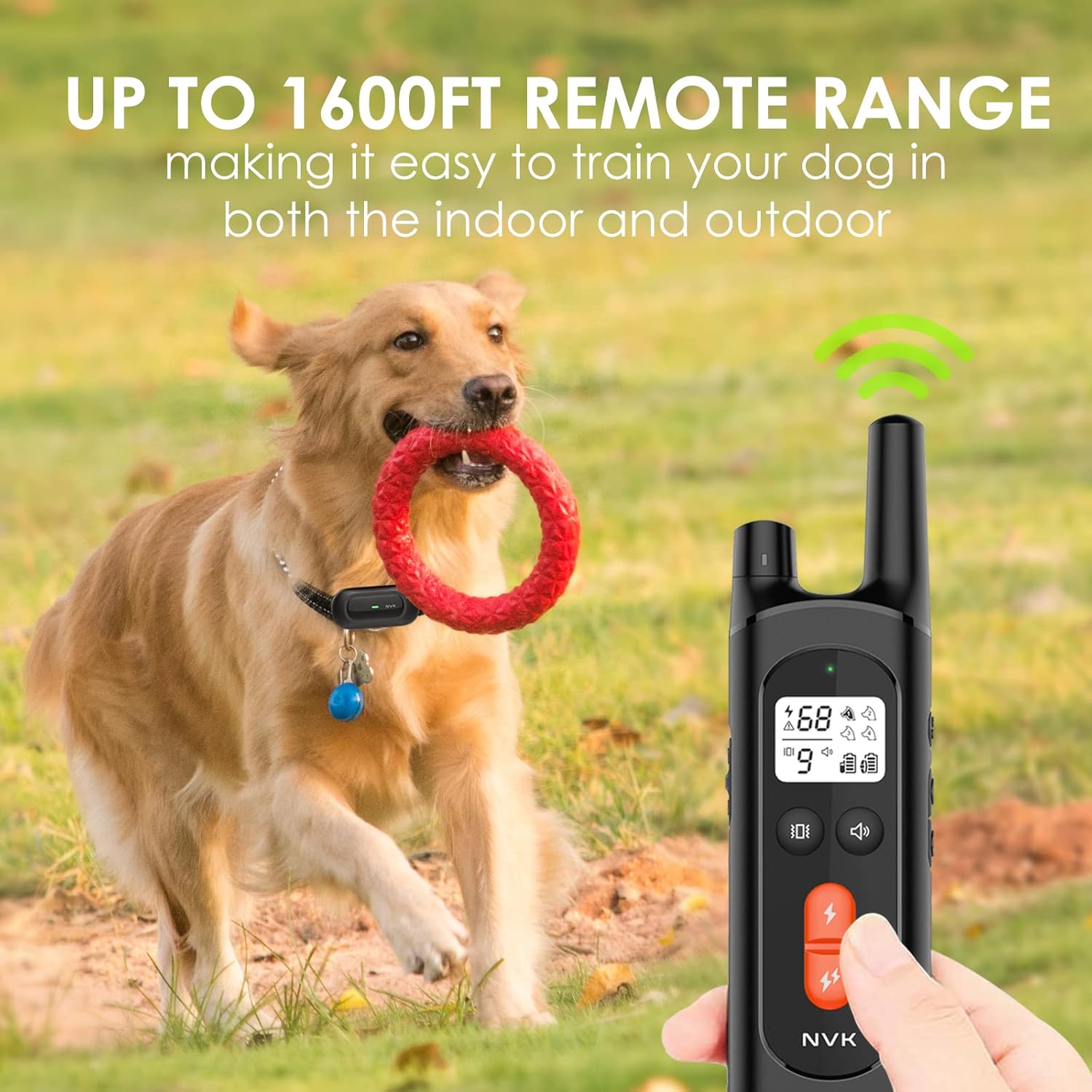 Rechargeable Dog Training Collar with Remote, 3 Modes, Waterproof, Pack of 2 T188