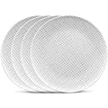 Grey Set of 4 Dinner Plates G190