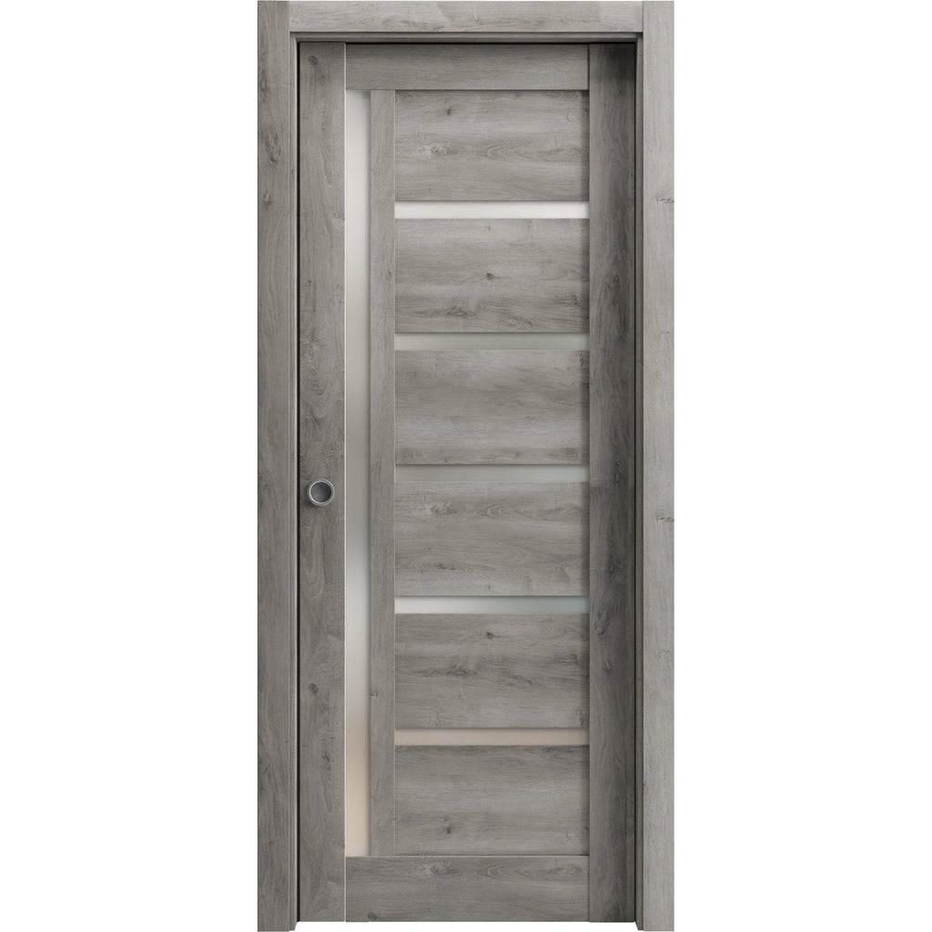 Sliding French Pocket Door with Frosted Glass M165089