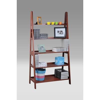 Ladder Bookcase N46739