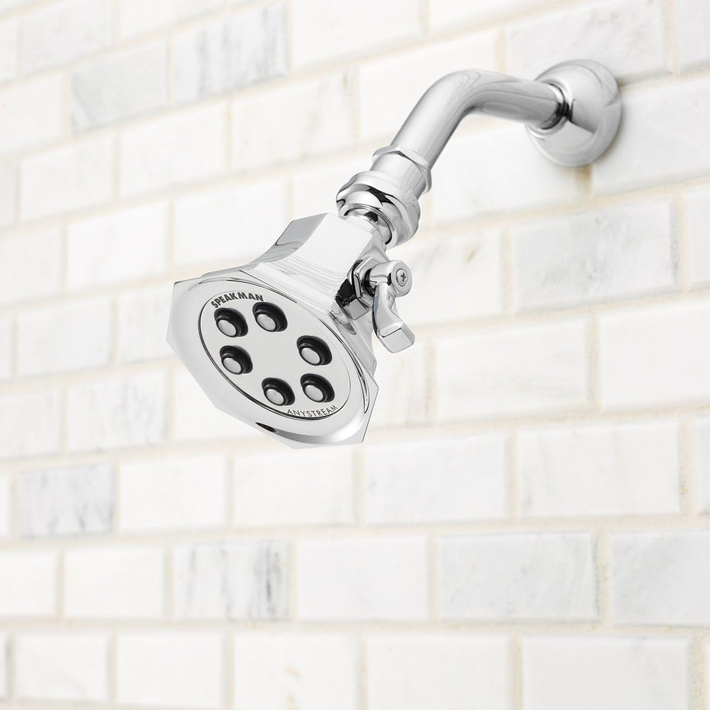 Polished Chrome Solid Brass Shower Head R47895