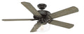 54x22 LED Ceiling Fan with Light C8286