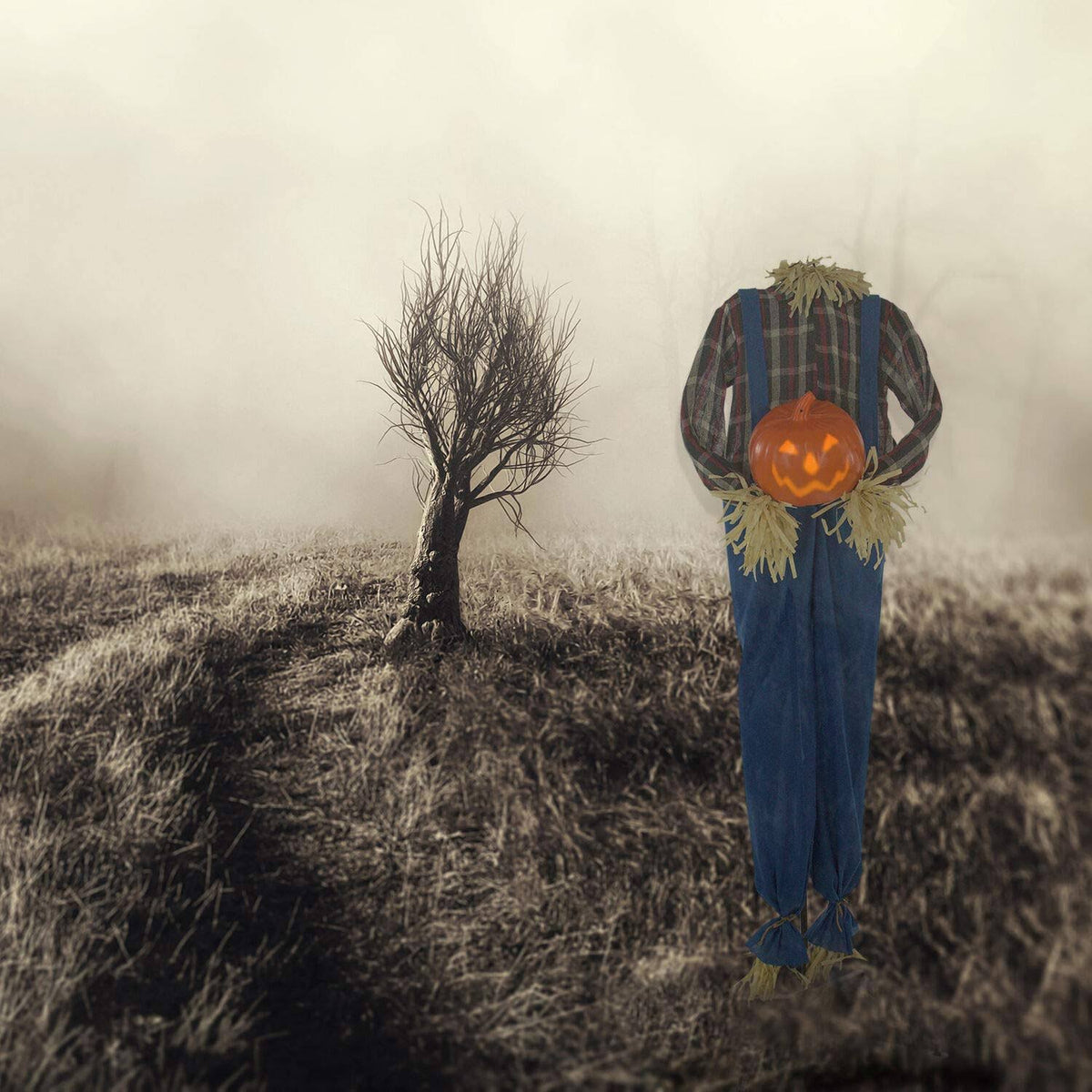 Life-Size Animatronic Scarecrow X691685
