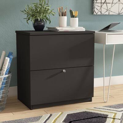 Black 2-Drawer Vertical Filing Cabinet E4855