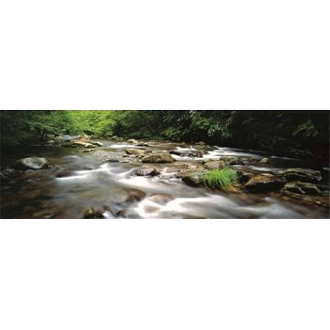 River flowing through a forest Poster Print - 36 x 12 P308240