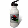 21 oz Sports Water Bottle A14002