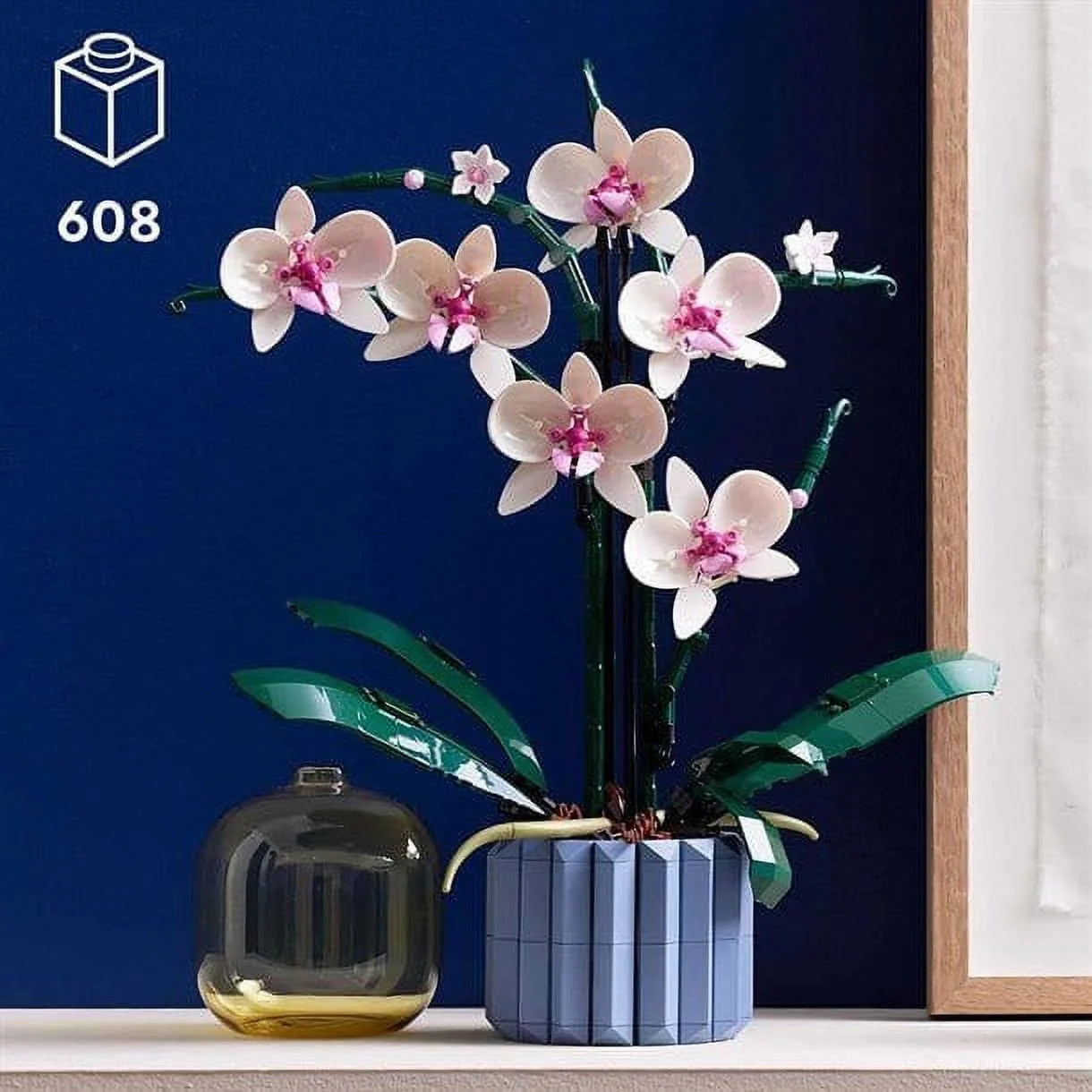Orchid R134