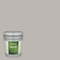 Exterior Paint (5-Gallon) E9789