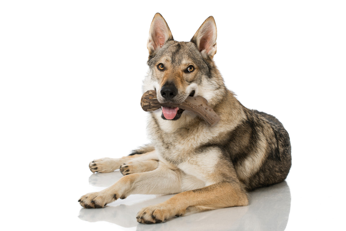 Venison Large Dog Chew Toy L725
