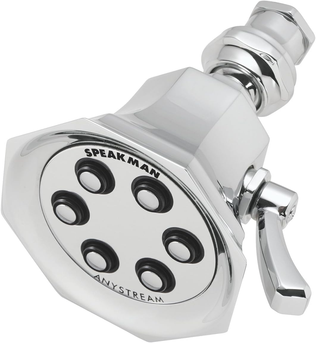 Polished Chrome Solid Brass Shower Head R47895