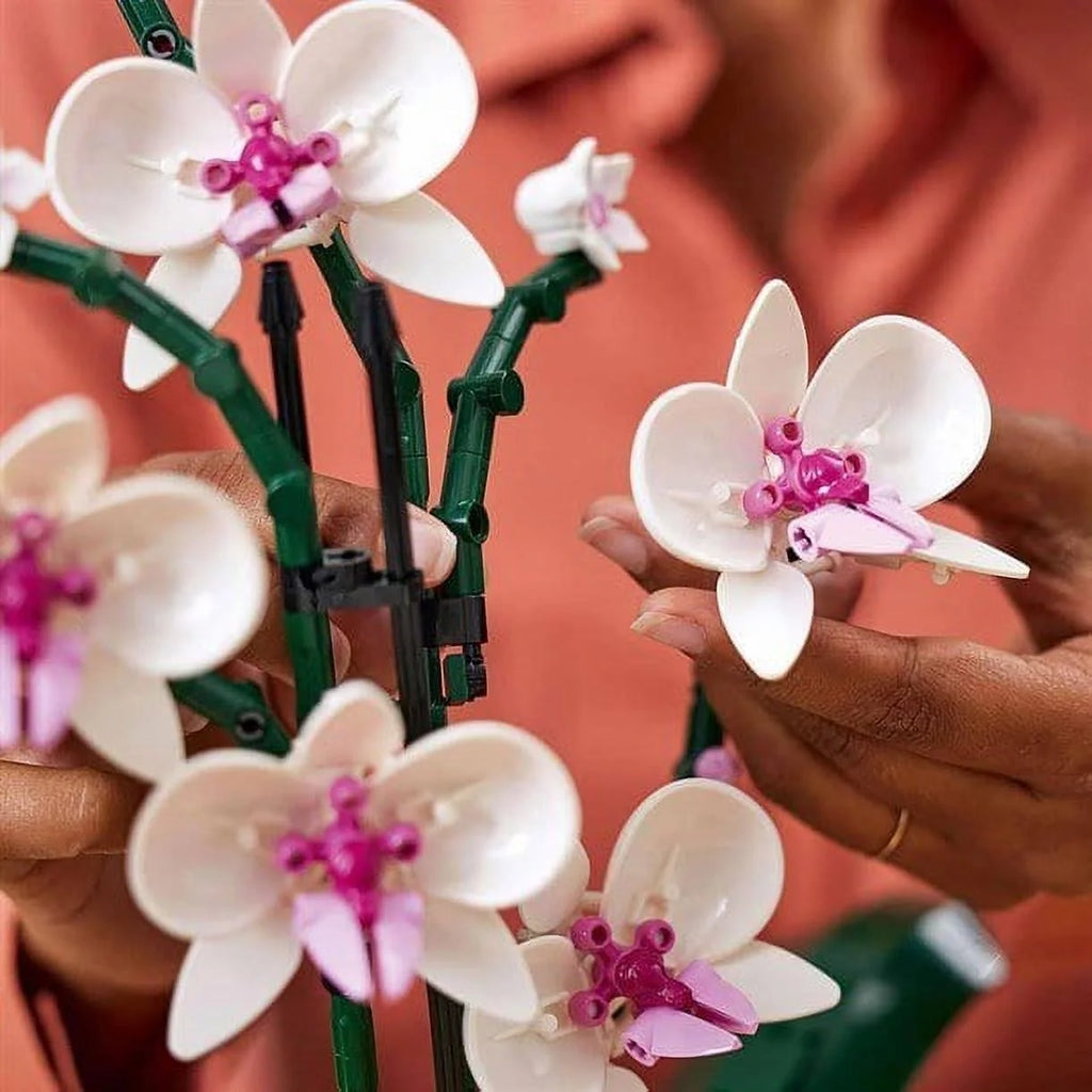 Orchid R134